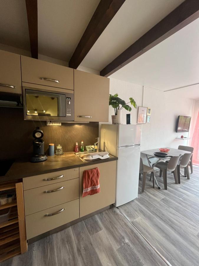 Appartement Argeles-Sur-Mer Avec Piscine A 500M De La Mer Zewnętrze zdjęcie