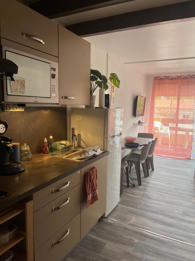 Appartement Argeles-Sur-Mer Avec Piscine A 500M De La Mer Zewnętrze zdjęcie